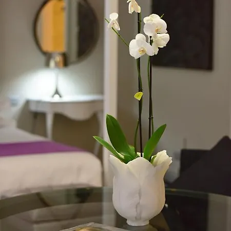Pepoli9 Design Suites Rome 2* Rom